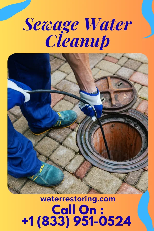 Sewage Water Cleanup in Smith Mills, MA