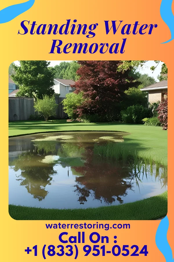 Standing Water Removal in Smith Mills, MA